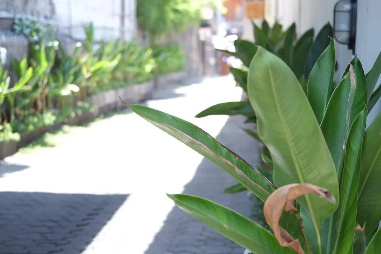 Guest house Kost 17 A Hotel Seminyak